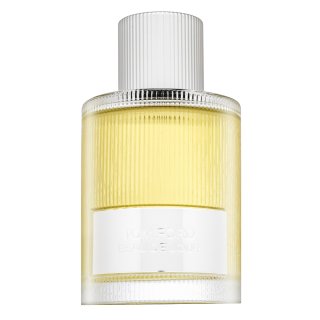 Tom Ford Signature Beau de Jour Eau de Parfum bărbați 100 ml