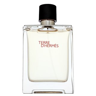 Hermes Terre DHermes eau de Toilette pentru barbati 100 ml