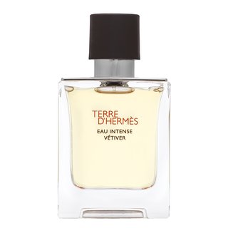 Hermes Terre DHermes Eau Intense Vetiver Eau de Parfum bărbați 50 ml