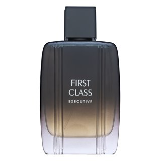 Aigner First Class Executive Eau de Toilette bărbați 100 ml