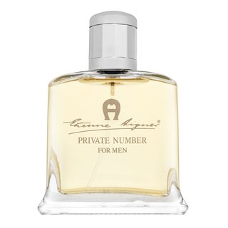 Aigner Private Number Eau de Toilette bărbați 100 ml