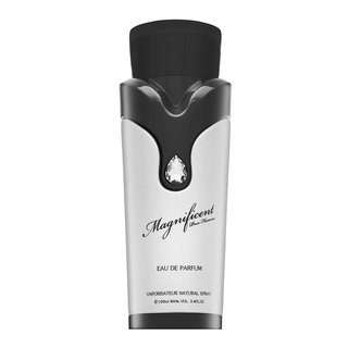 Armaf Magnificent Pour Homme Eau de Parfum bărbați 100 ml Armaf imagine noua