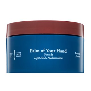 Chi man palm of your hand pomade pomadă de păr 85 g