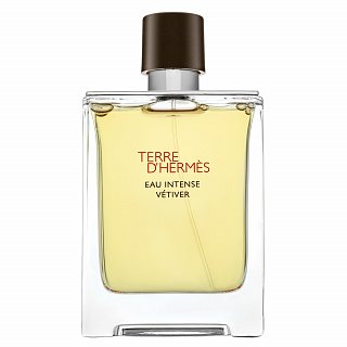 Hermes Terre DHermes Eau Intense Vetiver Eau de Parfum pentru bărbați 100 ml