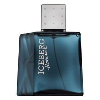 Iceberg Homme Eau de Toilette bărbați 100 ml