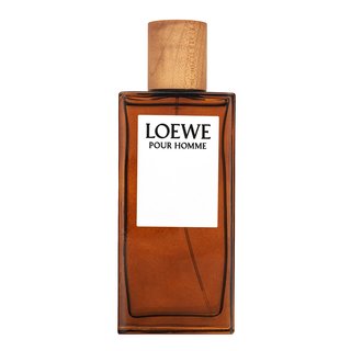 Loewe pour homme eau de toilette bărbați 100 ml