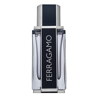 Salvatore Ferragamo Ferragamo Eau de Toilette bărbați 50 ml