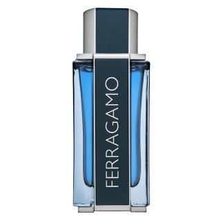 Salvatore Ferragamo Intense Leather Eau de Parfum bărbați 100 ml brasty.ro imagine noua