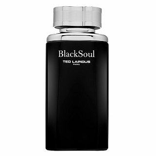Ted Lapidus Black Soul Eau de Toilette pentru bărbați 100 ml