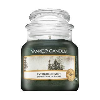 Yankee candle evergreen mist 104 g