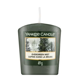 Yankee candle evergreen mist 49 g