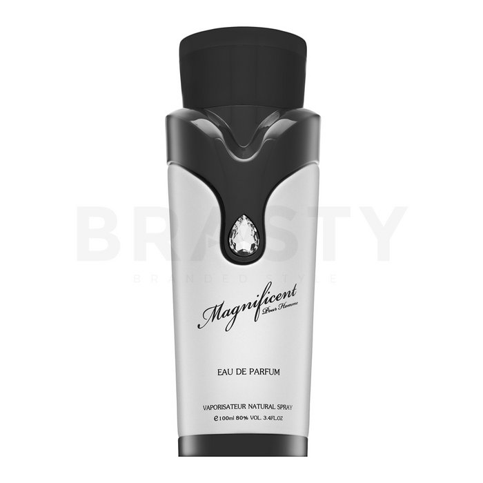 Armaf magnificent pour homme eau de parfum bărbați 100 ml