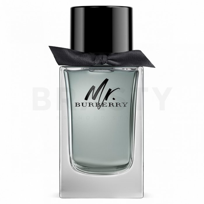 Burberry mr. burberry eau de toilette bărbați 50 ml