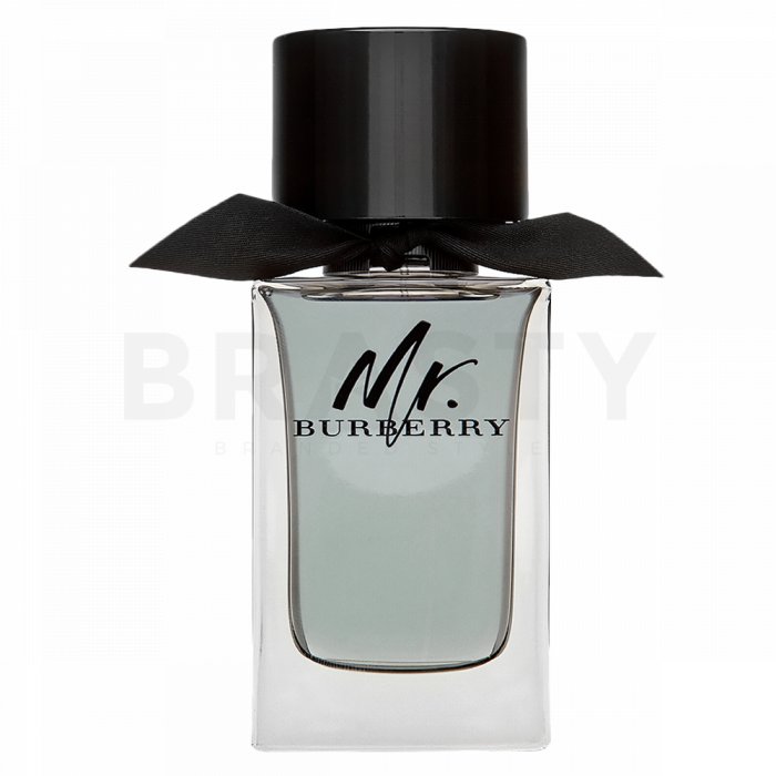 Burberry mr. burberry eau de toilette pentru barbati 100 ml