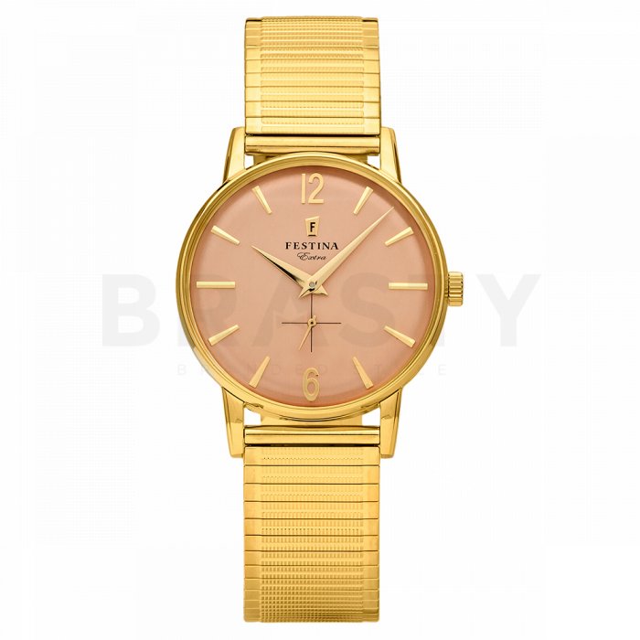 Ceas barbatesc festina 20251/3