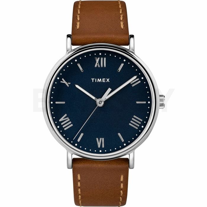 Ceas bărbătesc timex tw2r63900