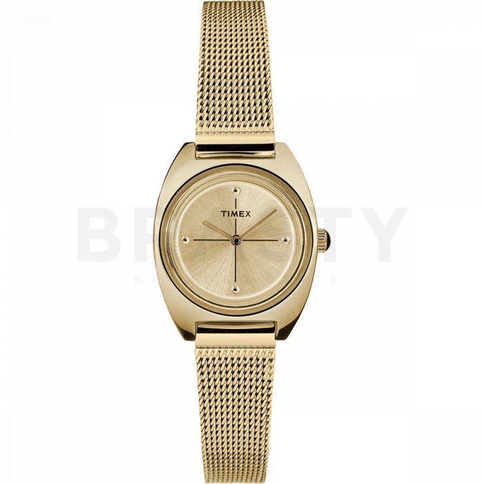 Ceas damă timex tw2t37600