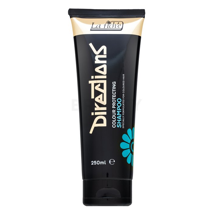 La riché directions colour protecting shampoo șampon pentru păr vopsit 250 ml