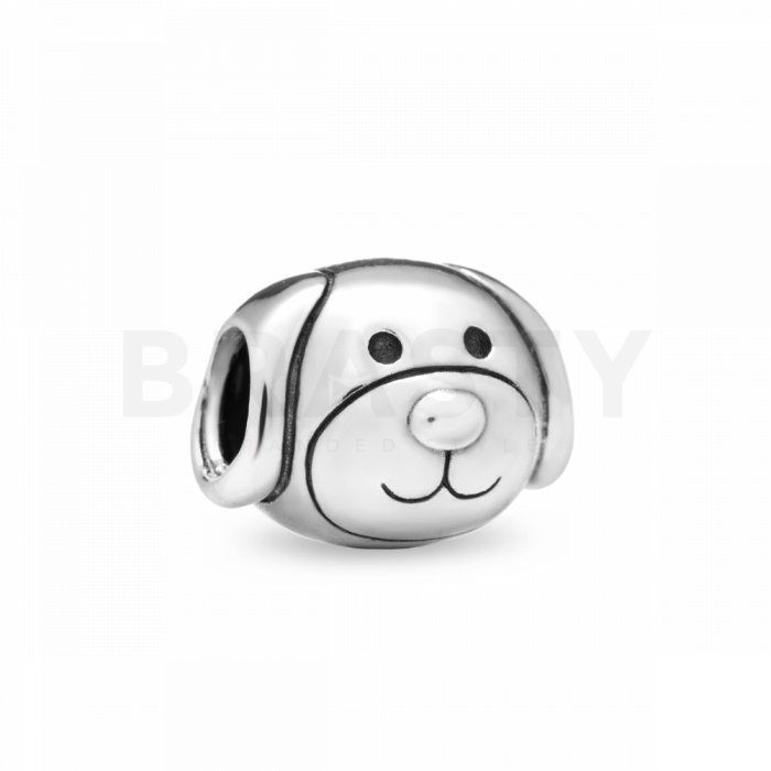 Pandora talisman 791707