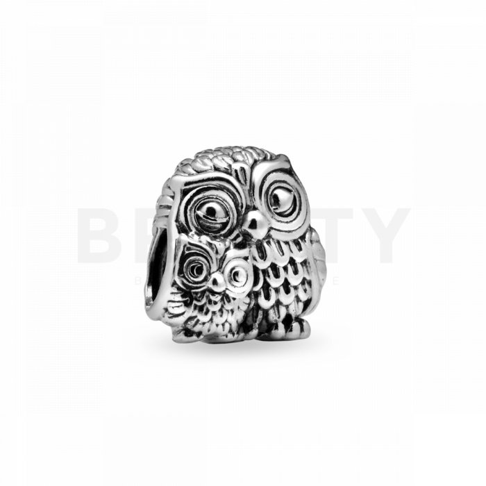 Pandora talisman 791966