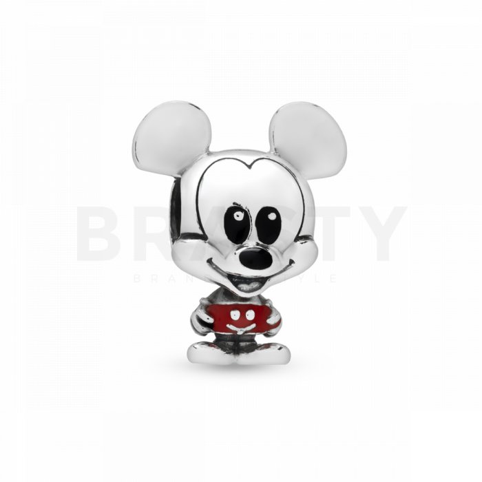 Pandora talisman 798905c01