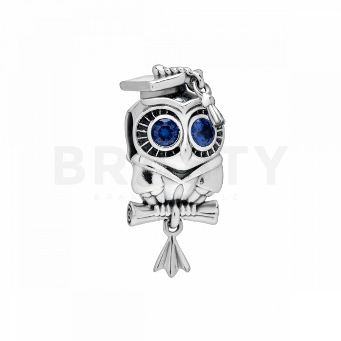 Pandora talisman 798907c01