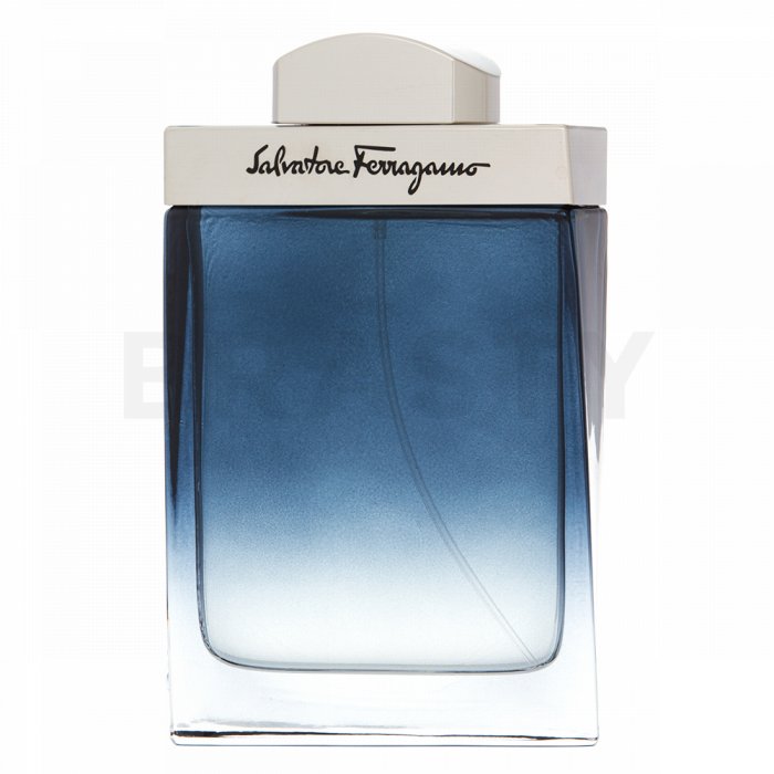 Salvatore ferragamo subtil pour homme eau de toilette pentru barbati 10 ml esantion