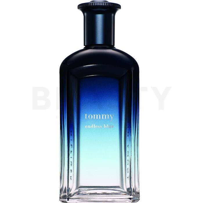 Tommy hilfiger tommy endless blue eau de toilette pentru bărbați 100 ml